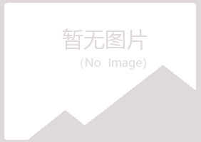 赤峰女孩会计有限公司